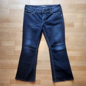 Silver Jeans Suki Surplus